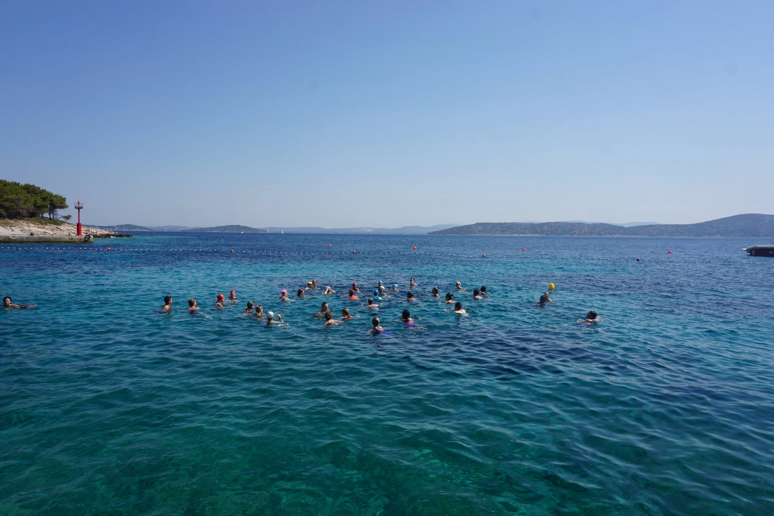 Wild Swimmers of the Year, 2017