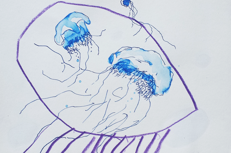 arctic-swim-drawing-6.png