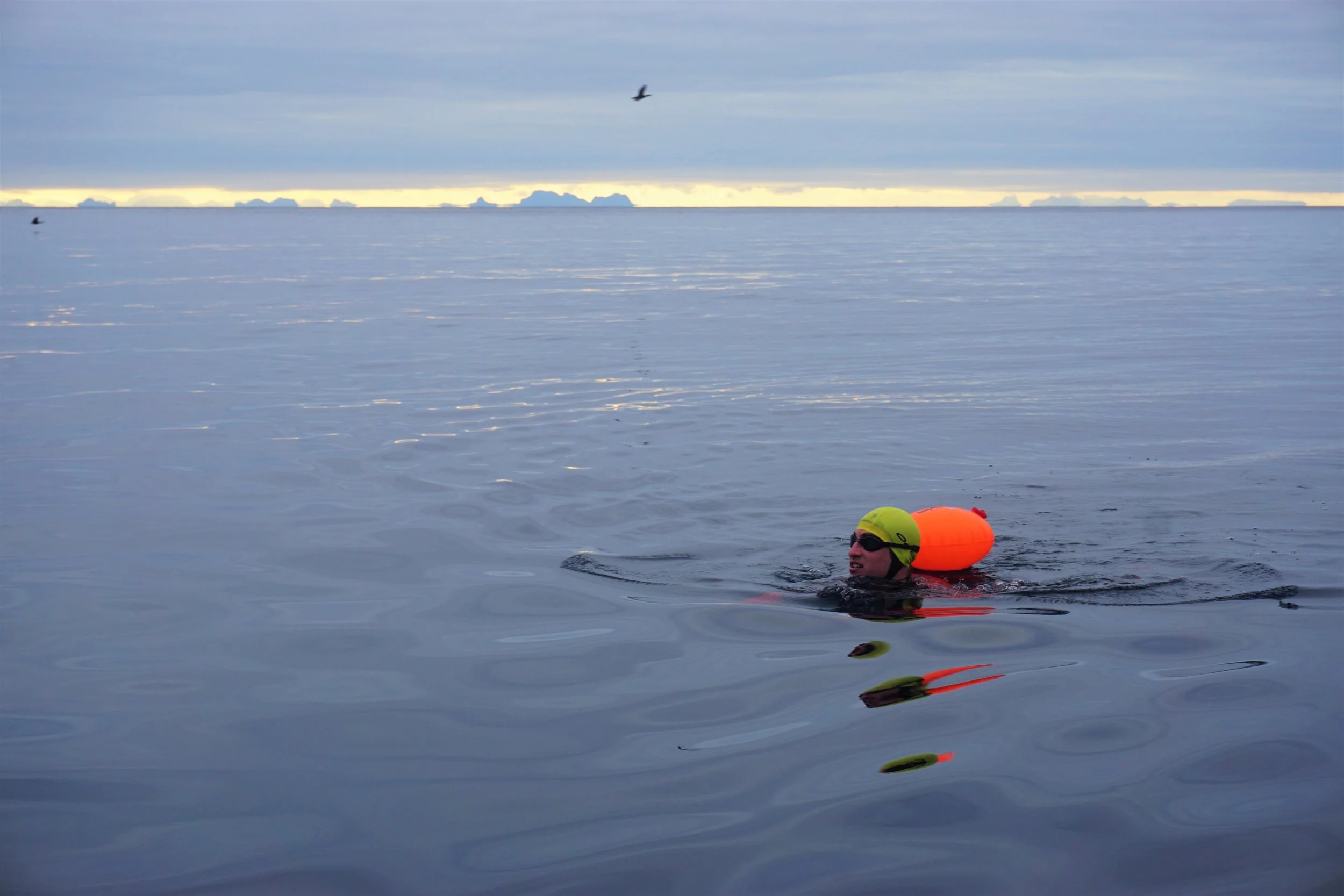 3# How To Plan A Swimming Expedition - "Hail To The Experts"