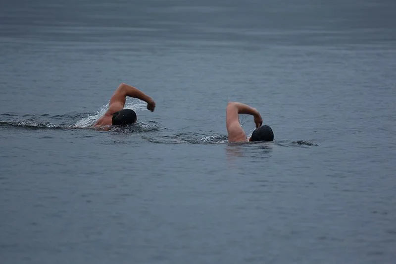 Wild_Swimming.jpg