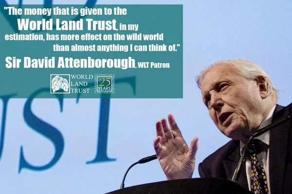You can’t get much better than an endorsement from the man himself.