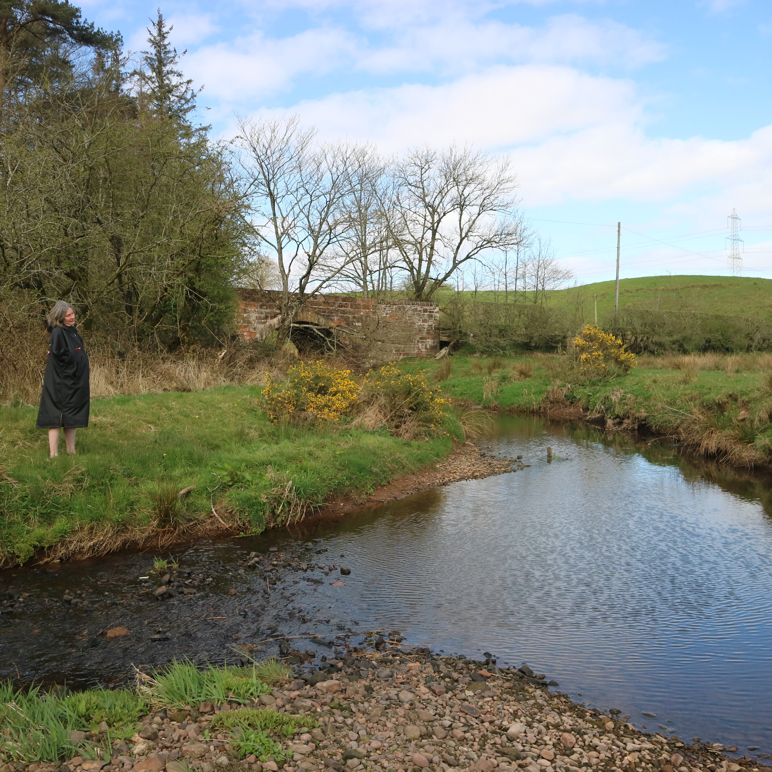 Wild Swimmers of the Year, 2020