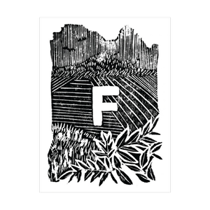 Portfolio+-+Logo+Graphic+(4).webp