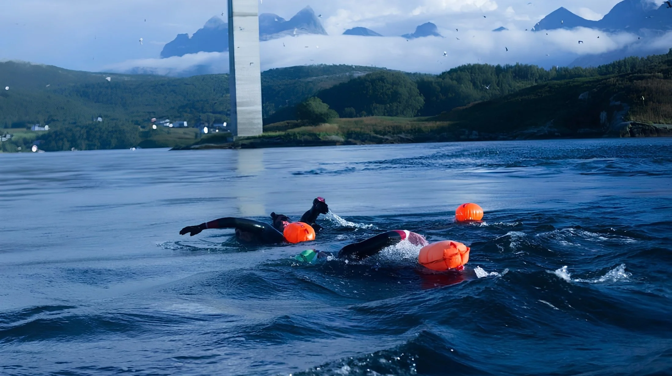 The Saltstraumen Crossing 2016