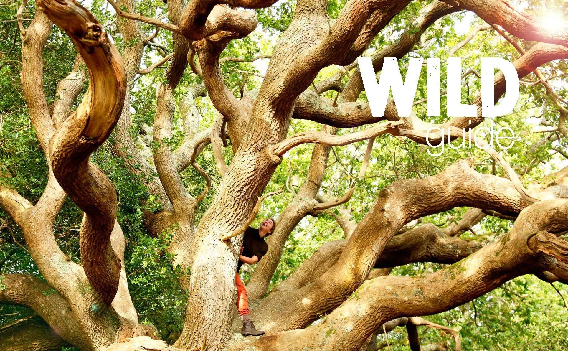 Wild Guide: London &amp; South East (Book Review)