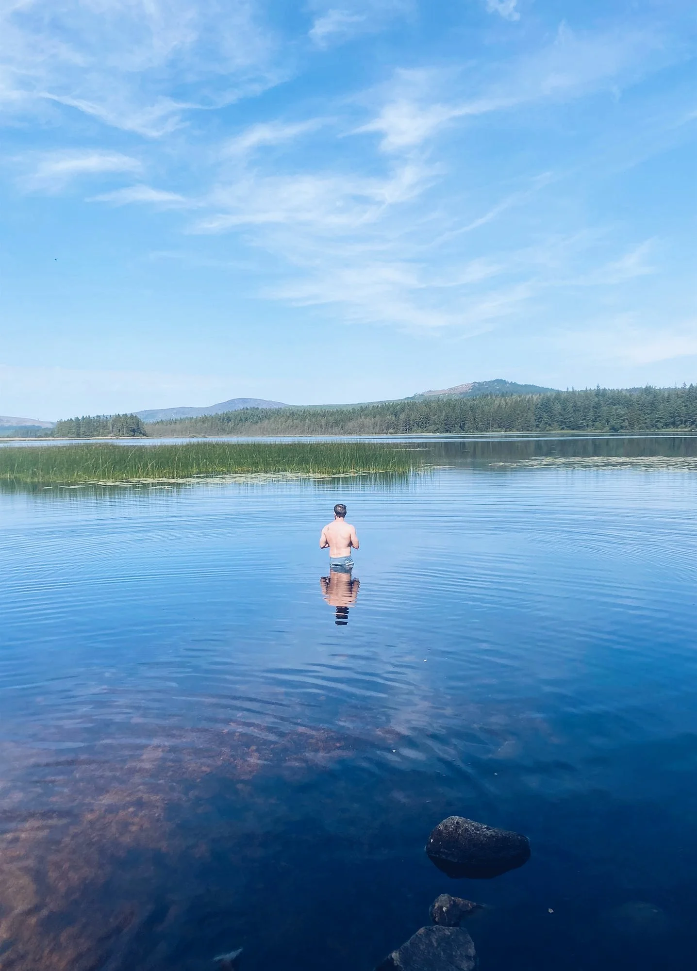 10 Short Films To Get You Swimming Wild