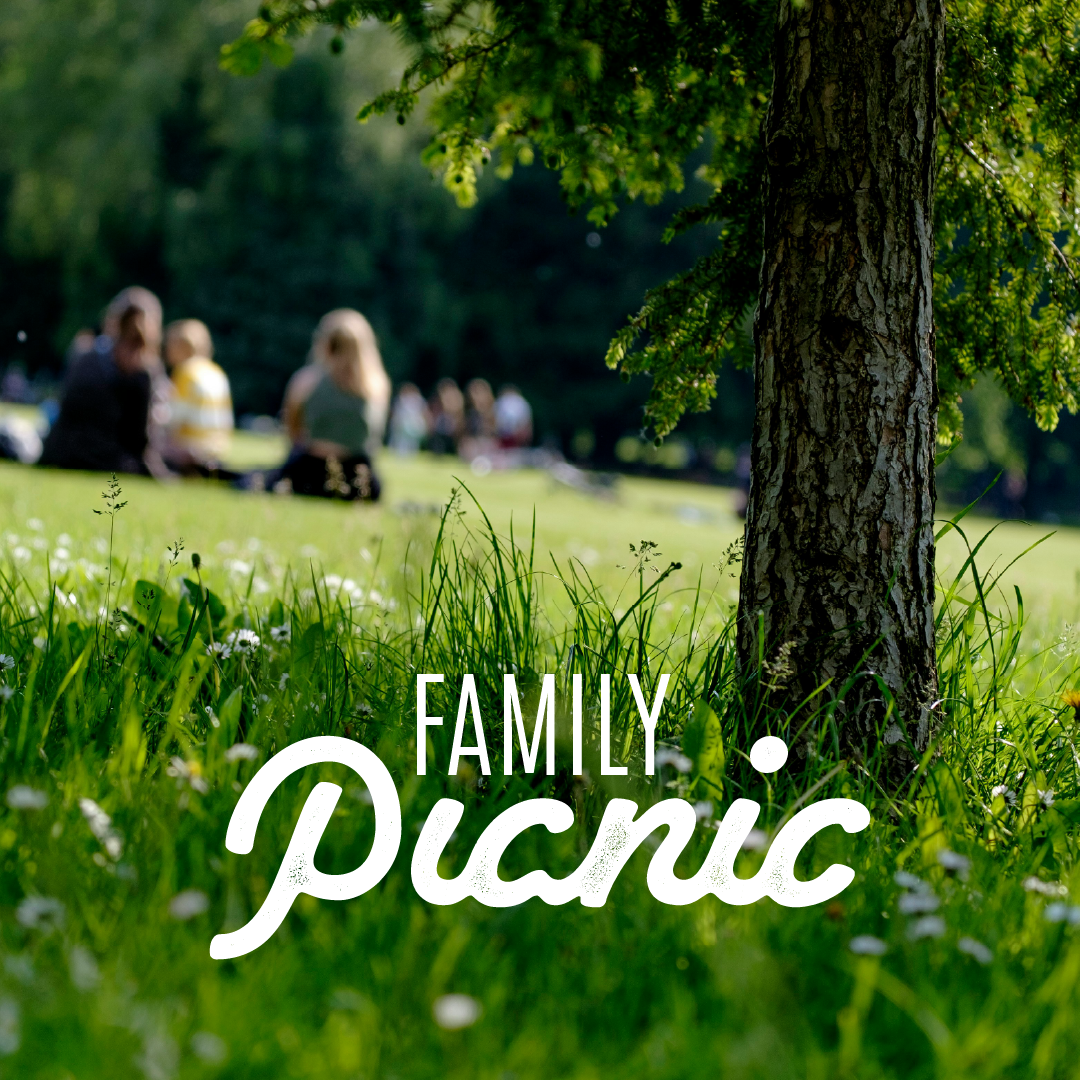 Lynfield Gardens Family Picnic