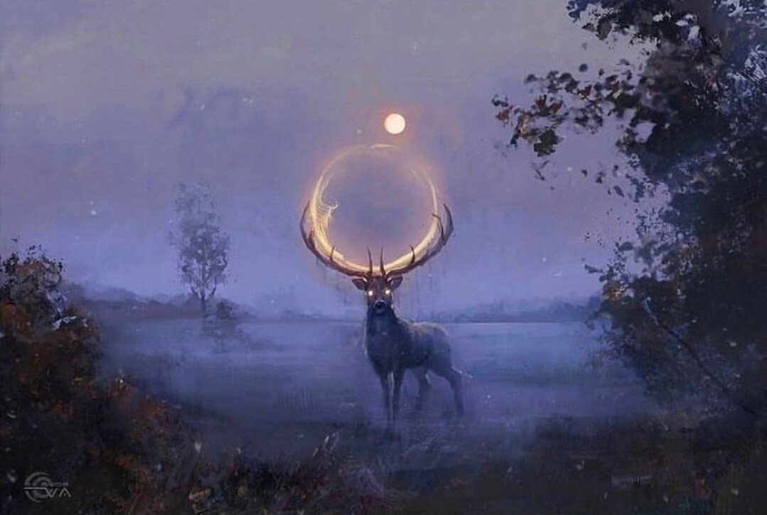 happy solstice 🦌🕯️🖤

art by Eva Kosmos

#deerhearthealing #solstice #wintersolstice