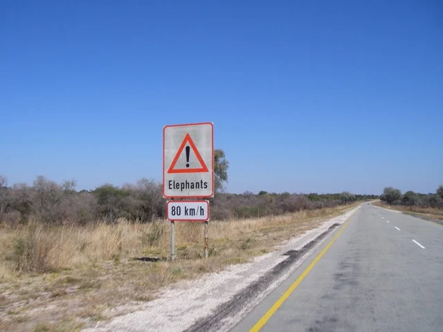 Hazards of the African road