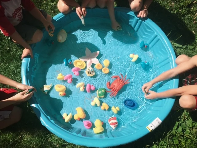 pumpkin-patch-pool.jpg