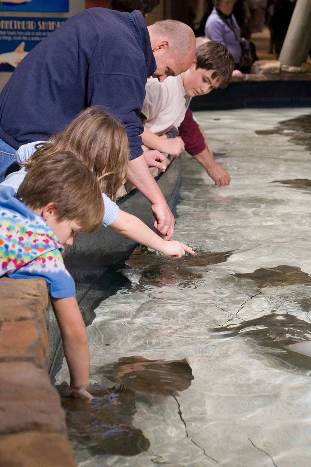 Georgia_Aquarium_Petting_Tank_-_January_2006.jpg