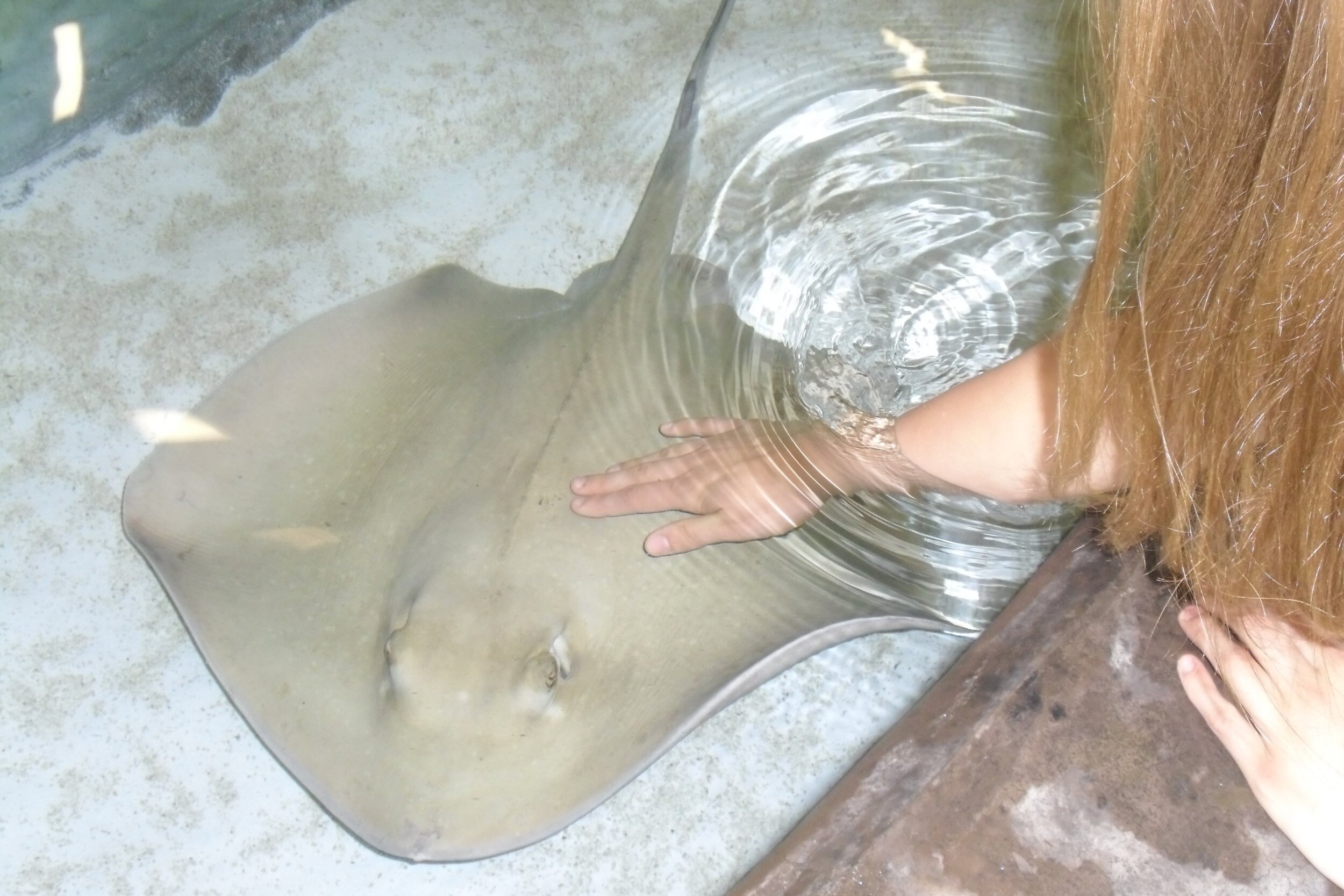 Stingray Bay is a Splashing Good Time
