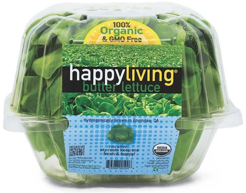 Fiveminuteslivinglettuce.jpg