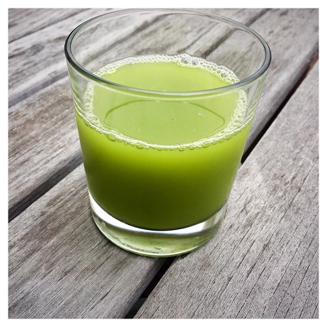 JUSTICE FOR CELERY 💚 the seemingly boring veggie that gets smothered in peanut butter, ignored on a veggie platter, and drowned in tomato juice is the same one that has magical gut healing powers ✨ I've been drinking celery juice every morning on an