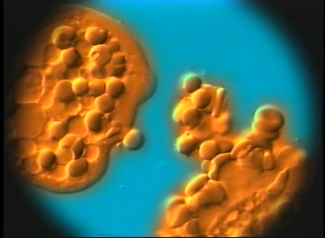 Slide 3