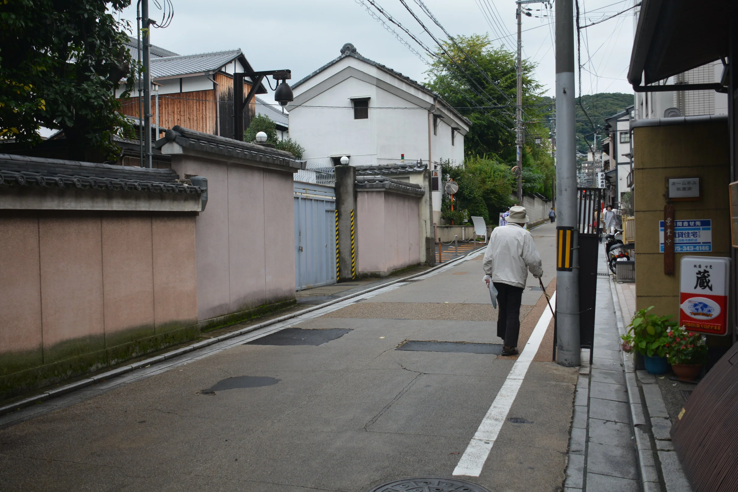 DSC_9537.JPG