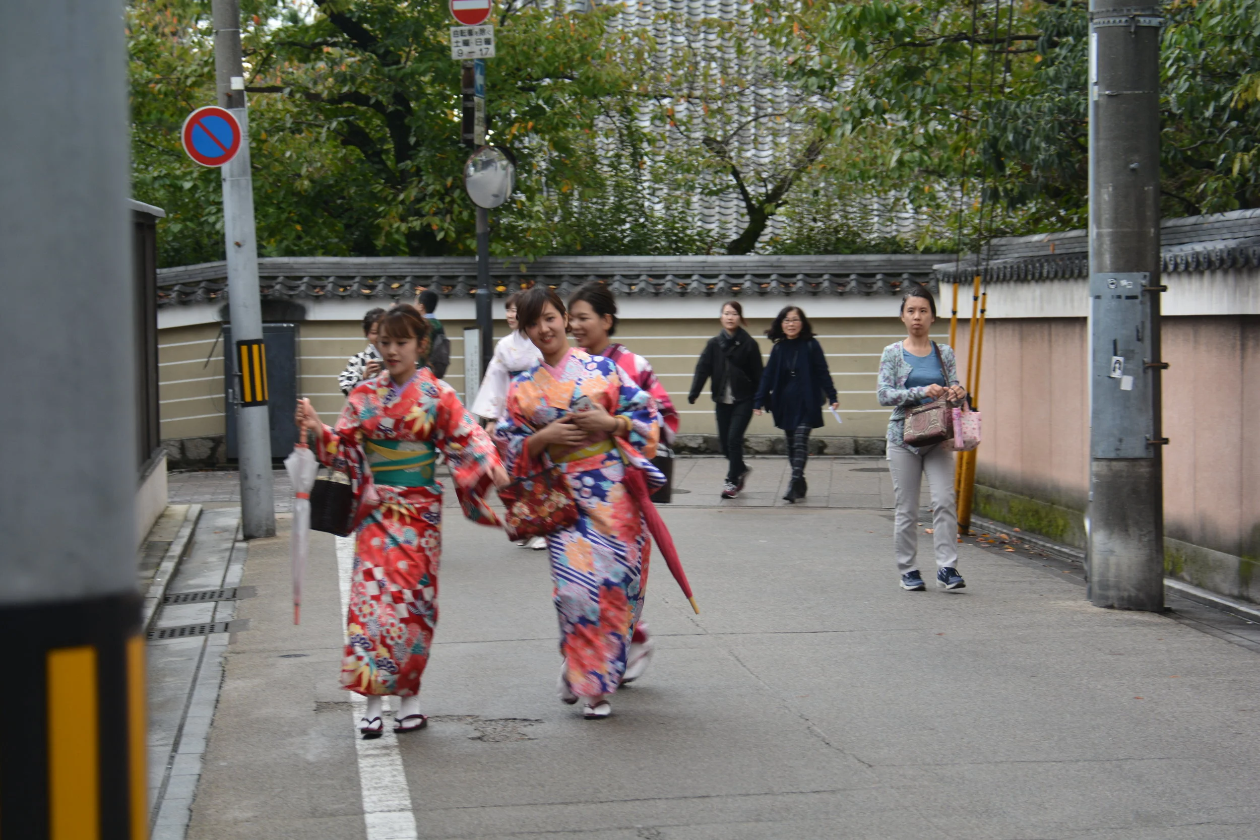 DSC_9539.JPG