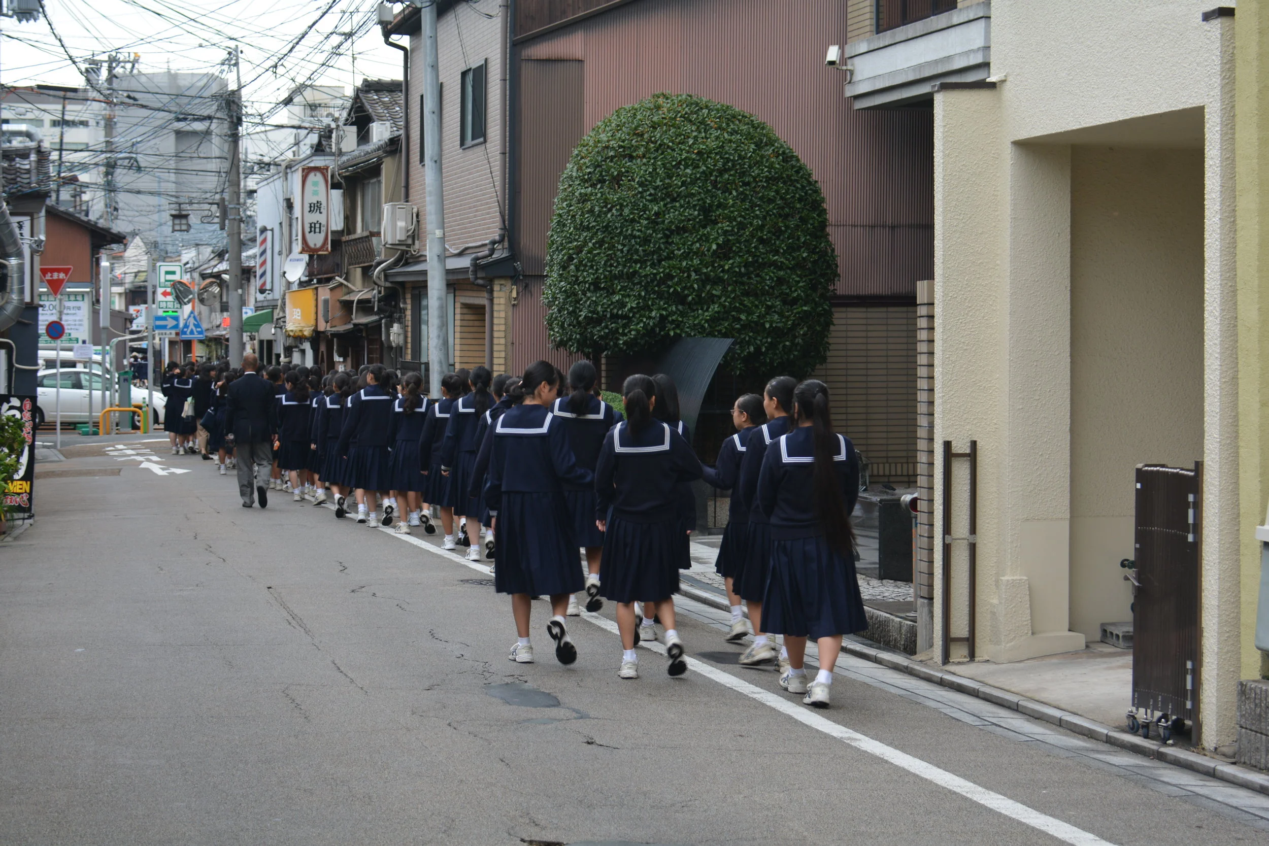 DSC_9548.JPG