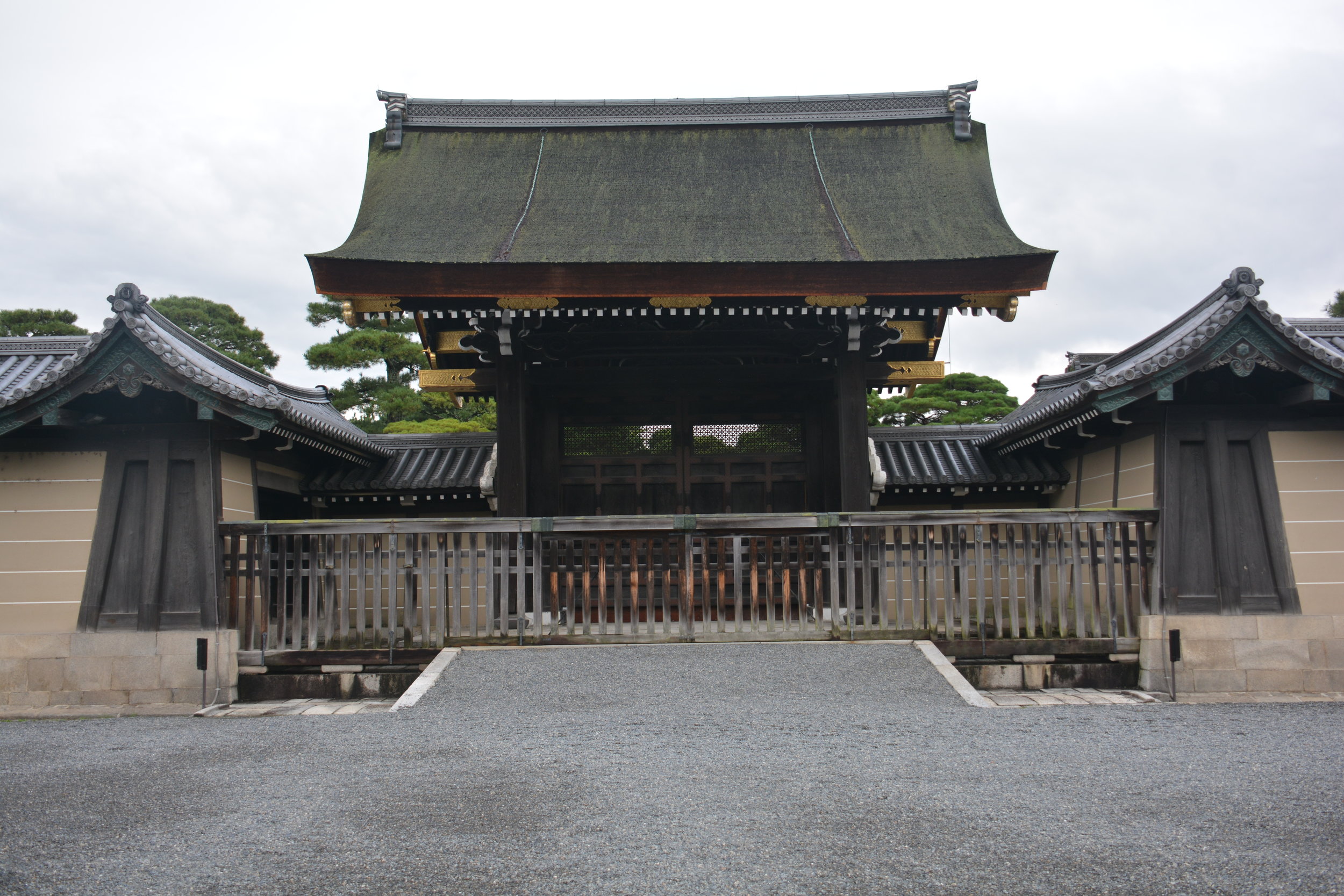 DSC_9583.JPG