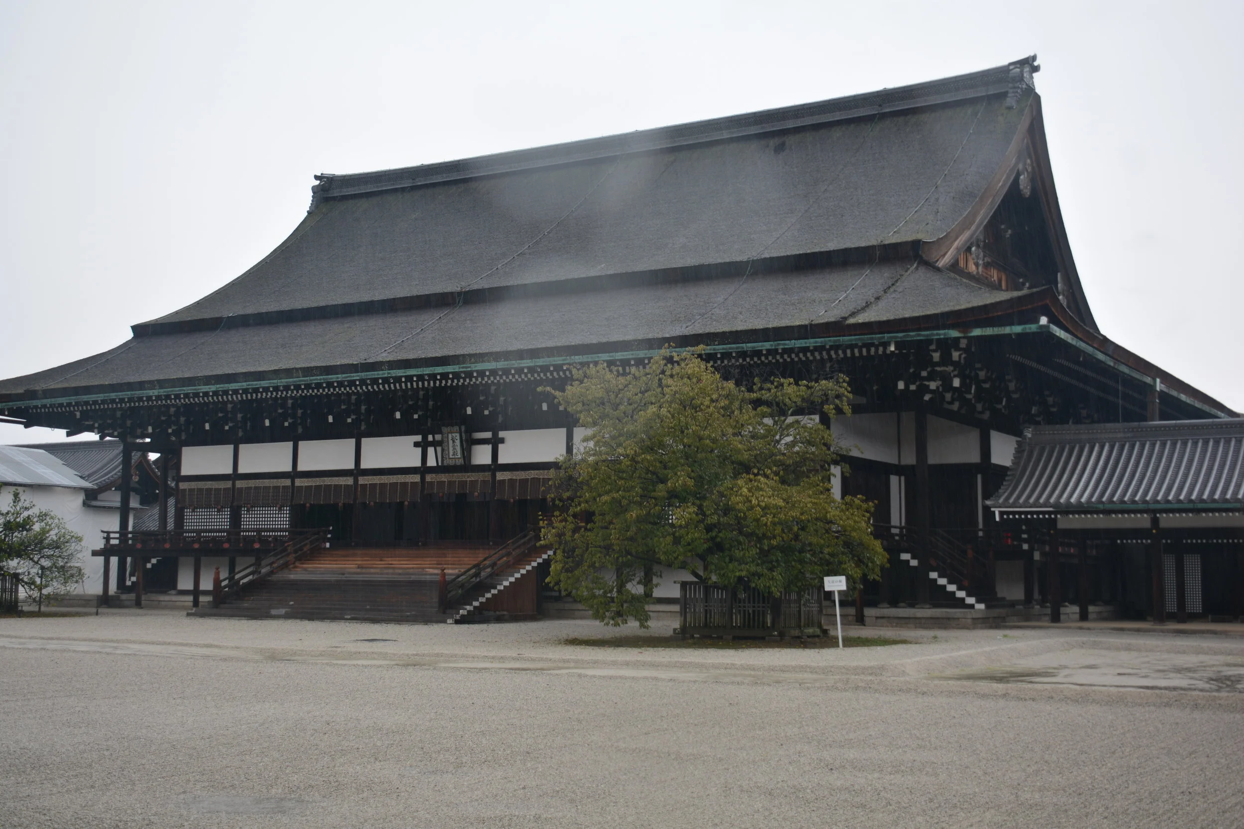 DSC_9616.JPG