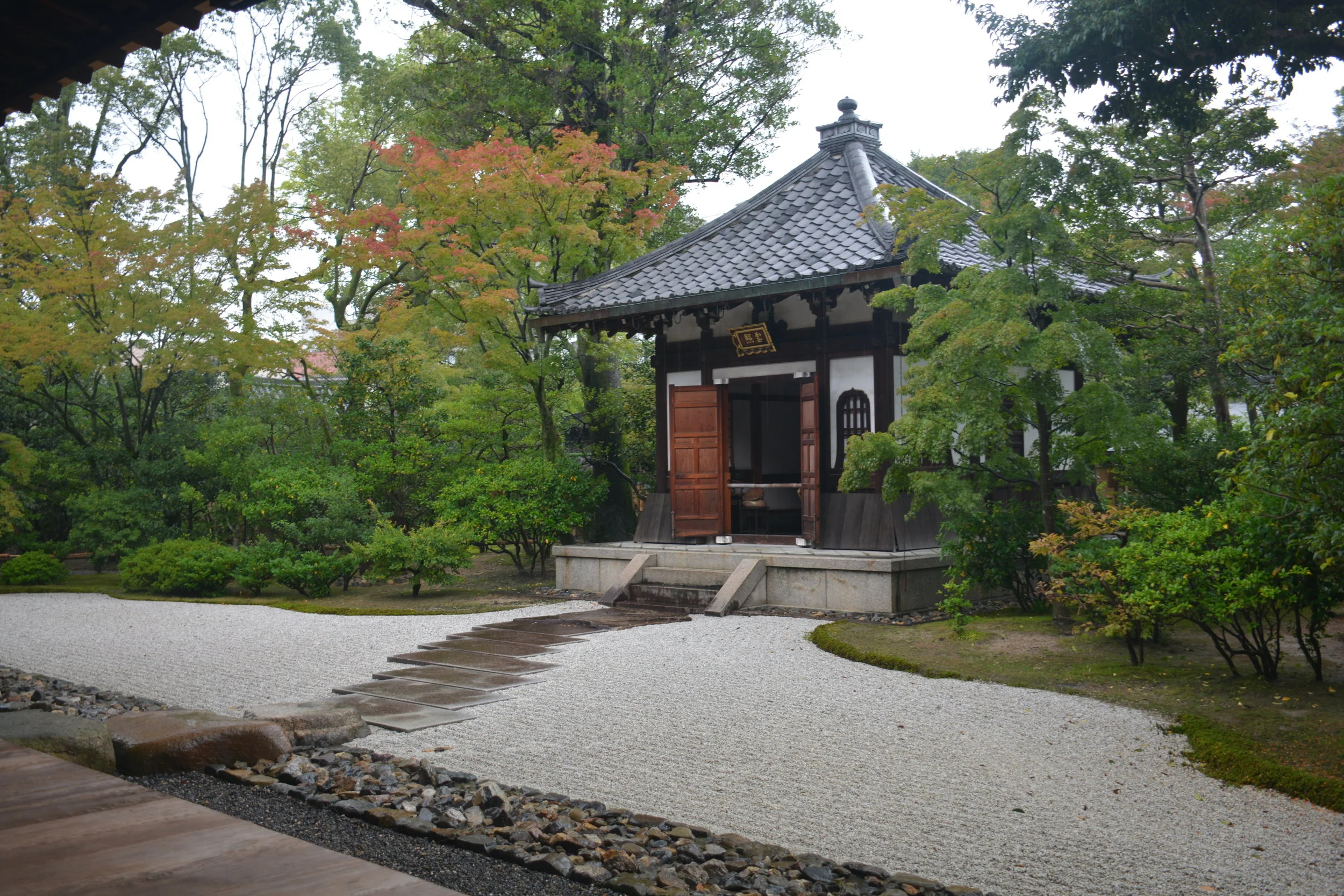 DSC_9642.JPG