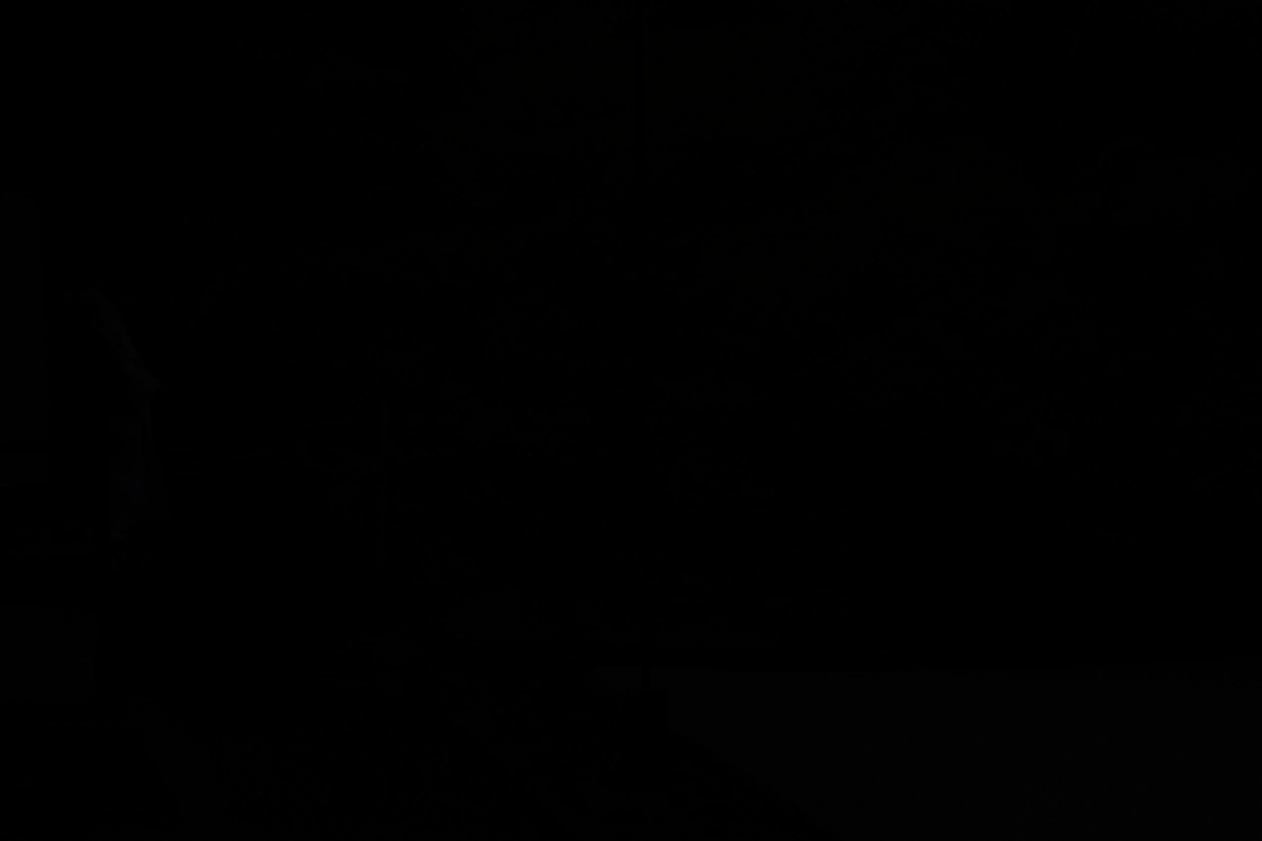 DSC_9655.JPG