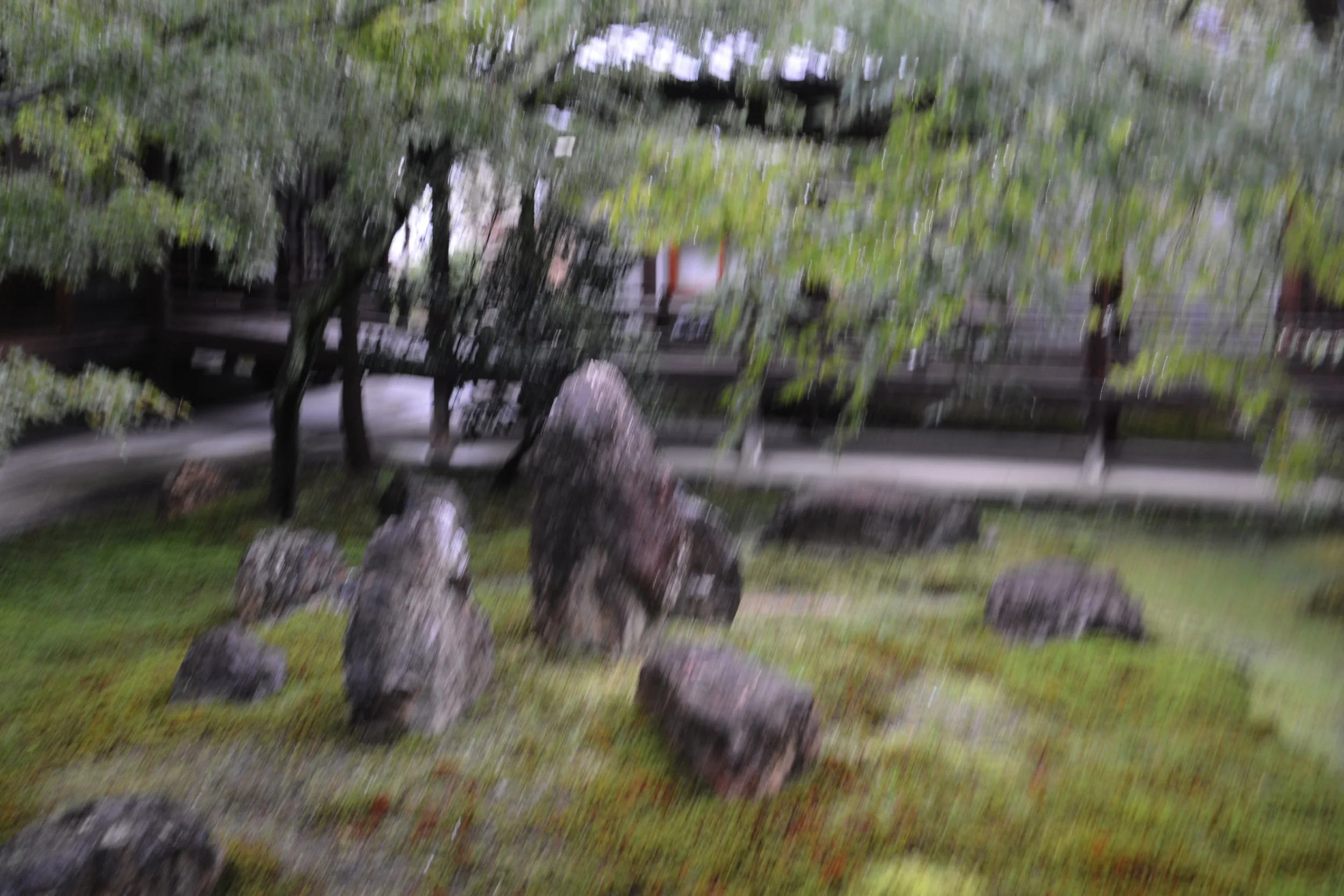 DSC_9726.JPG