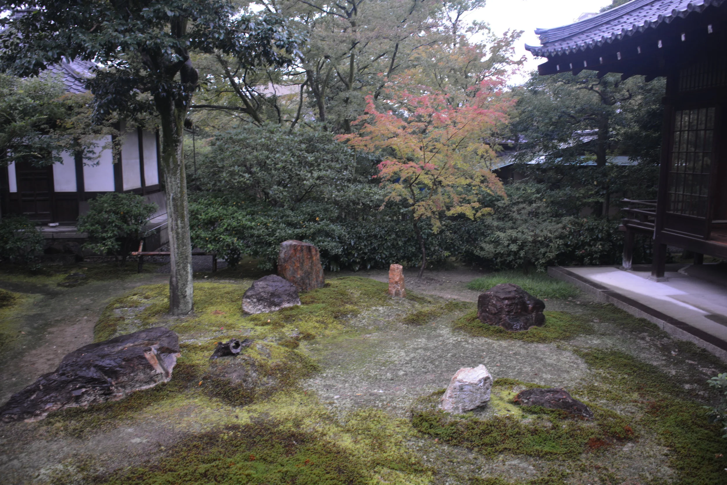 DSC_9728.JPG