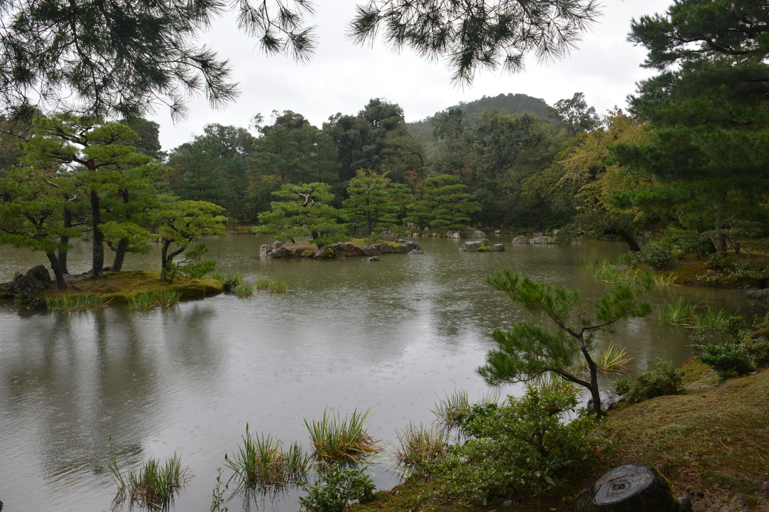 DSC_9760.JPG