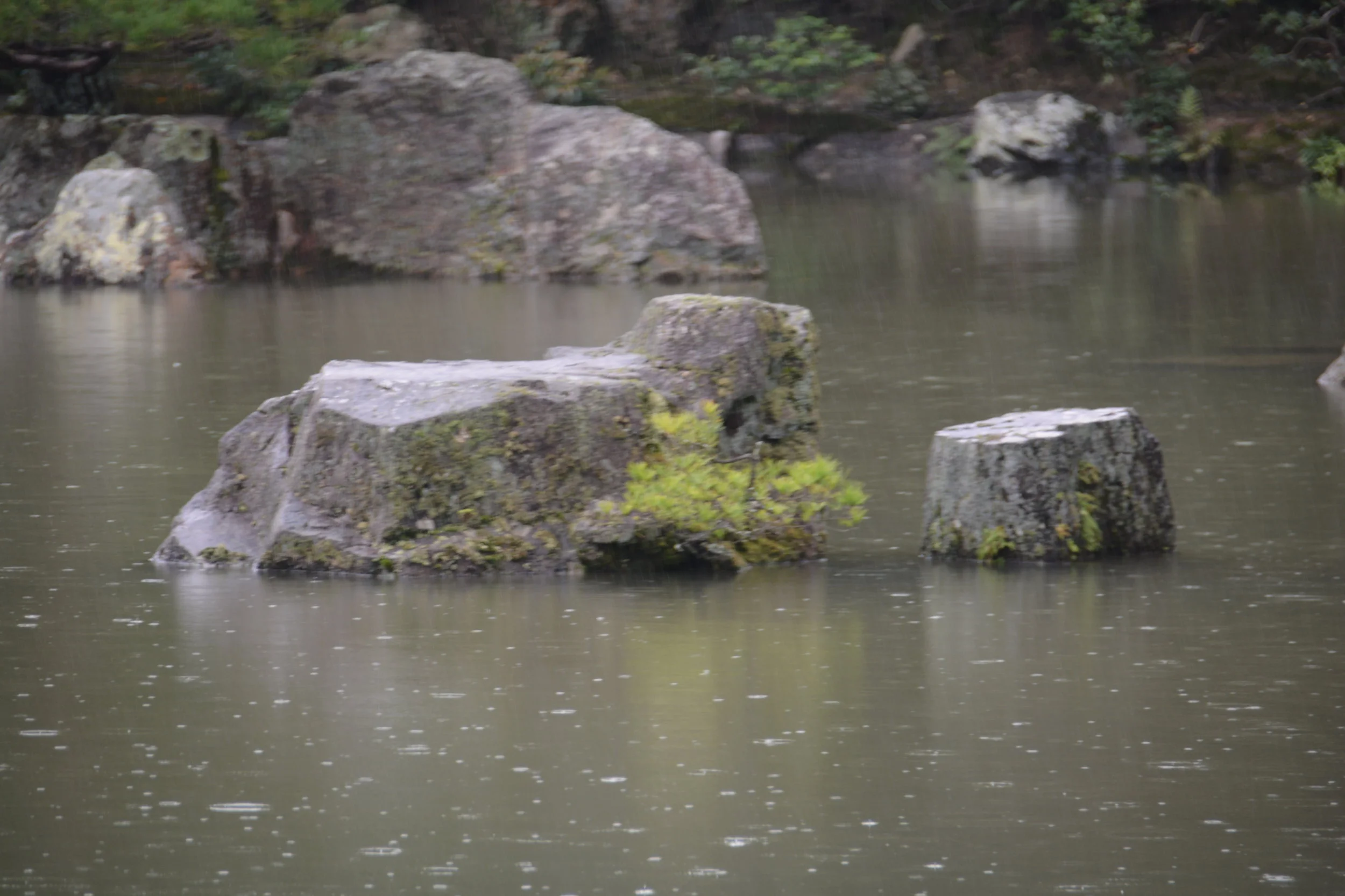 DSC_9762.JPG