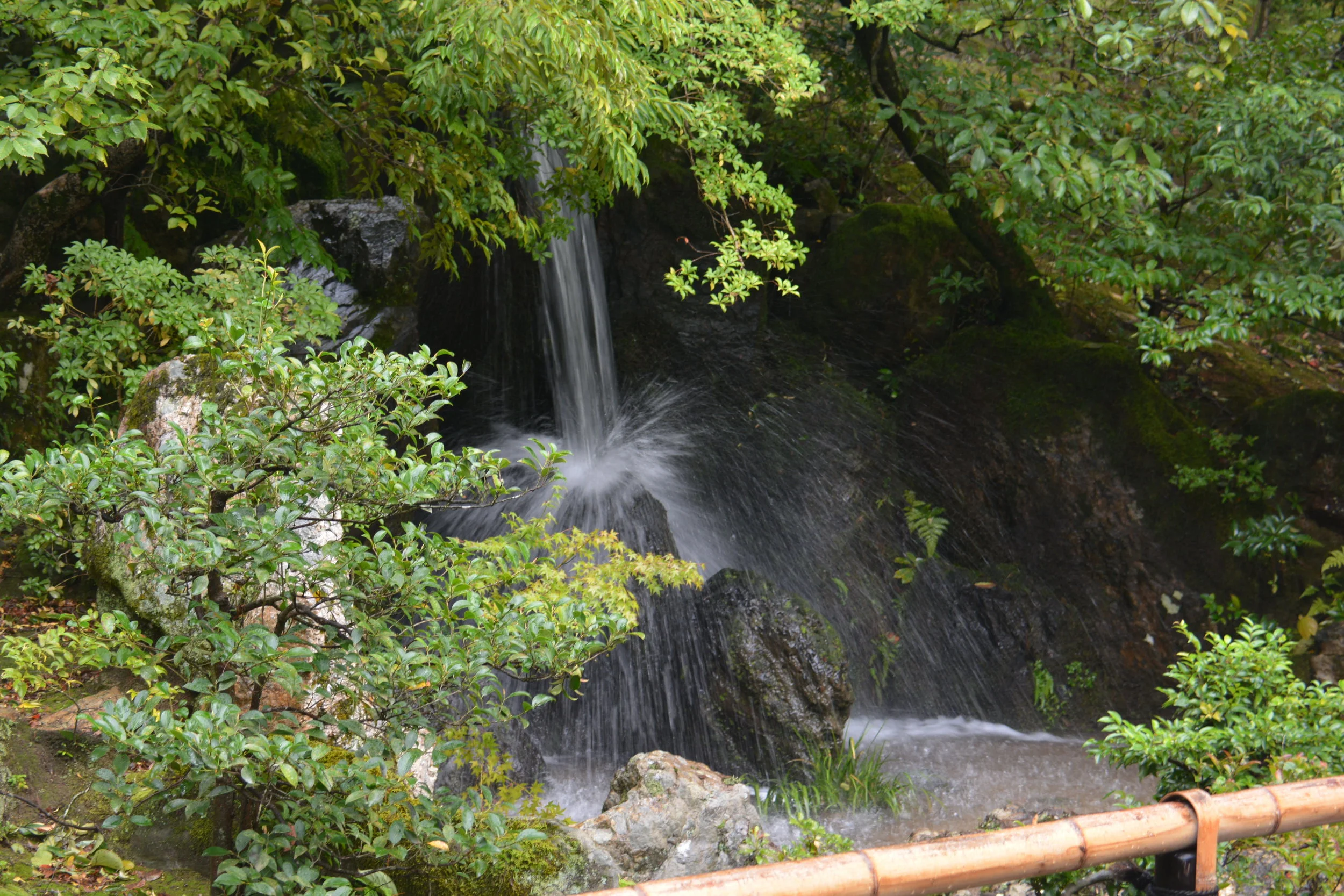 DSC_9765.JPG