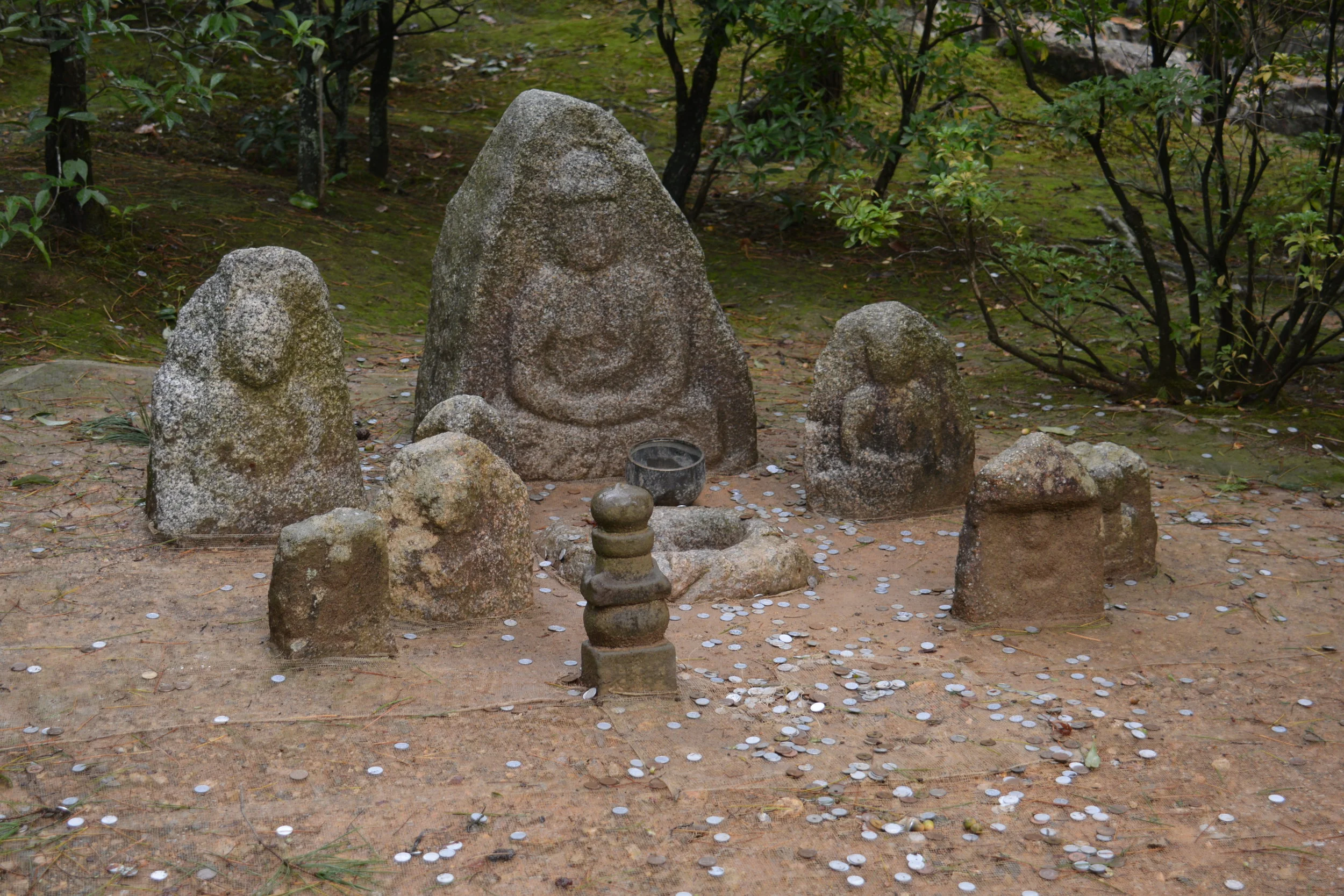 DSC_9770.JPG