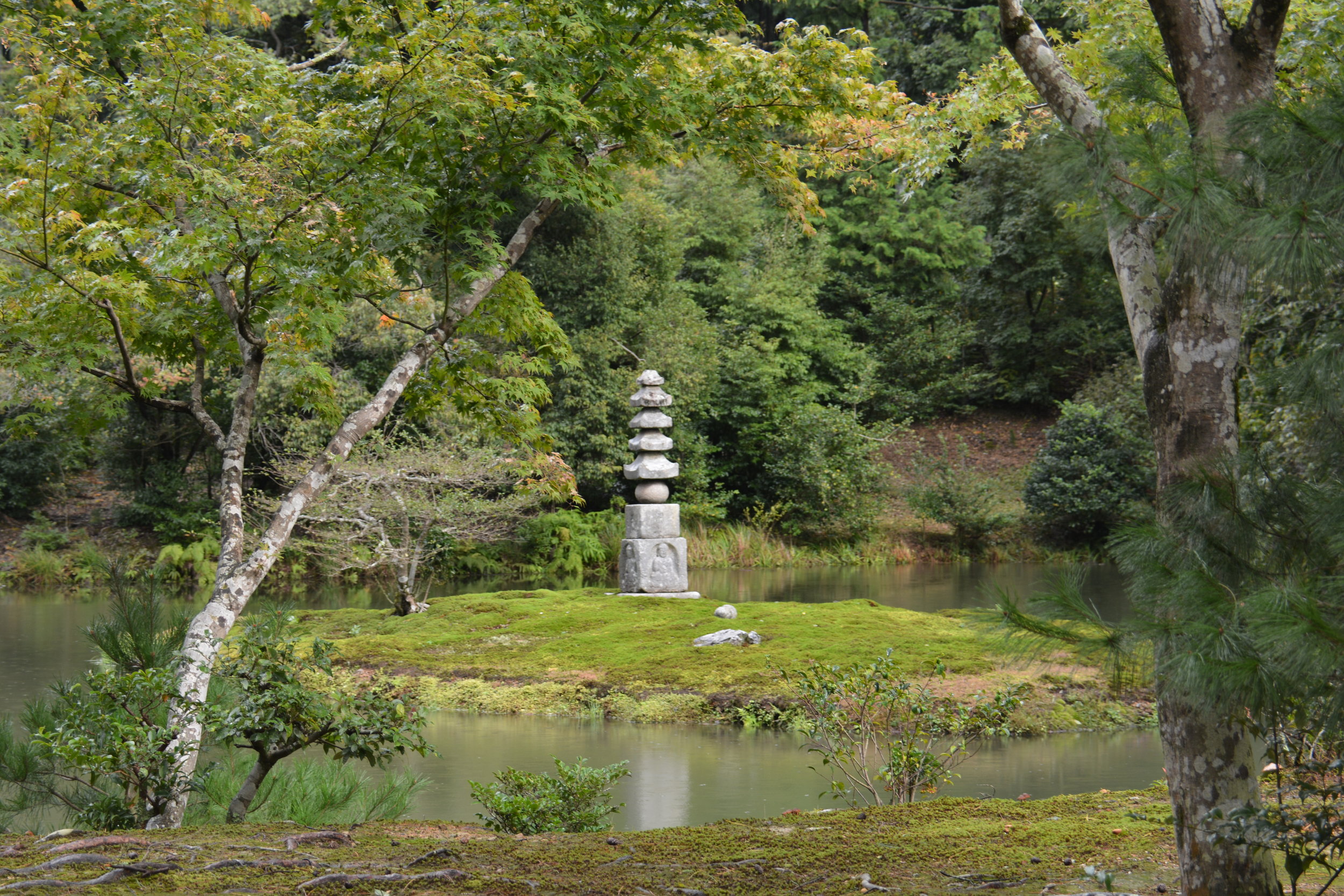 DSC_9774.JPG