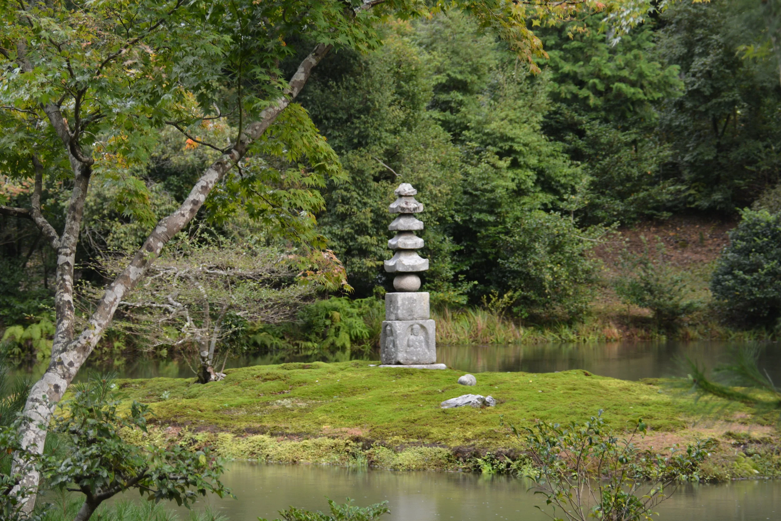 DSC_9775.JPG