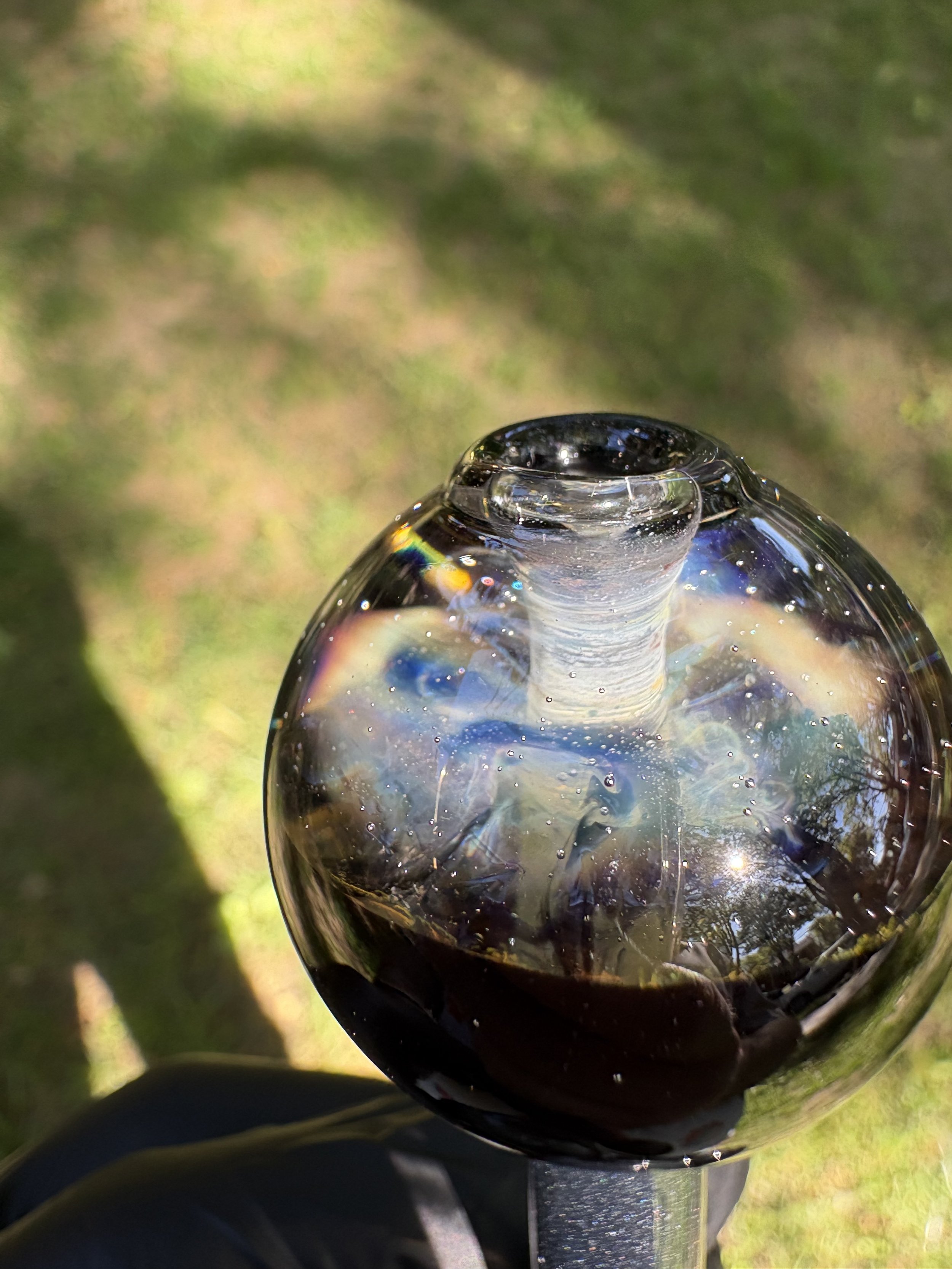 IMG_1613.jpeg