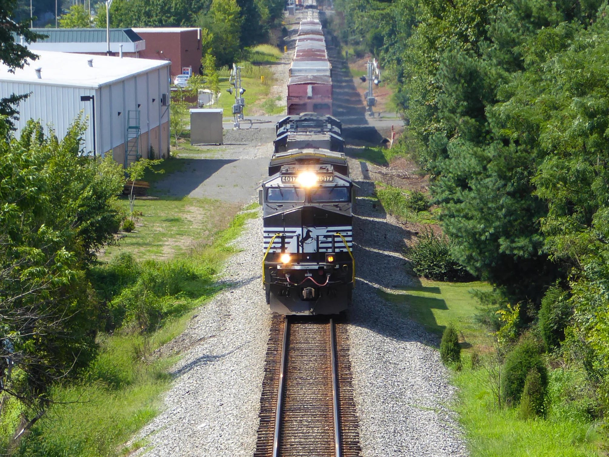 P1280443-2.jpg