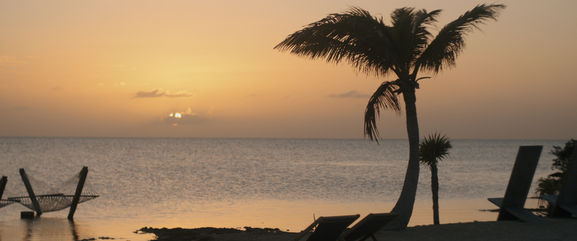 Screen Shot 2020-02-26 at 10.08.20 AM.png