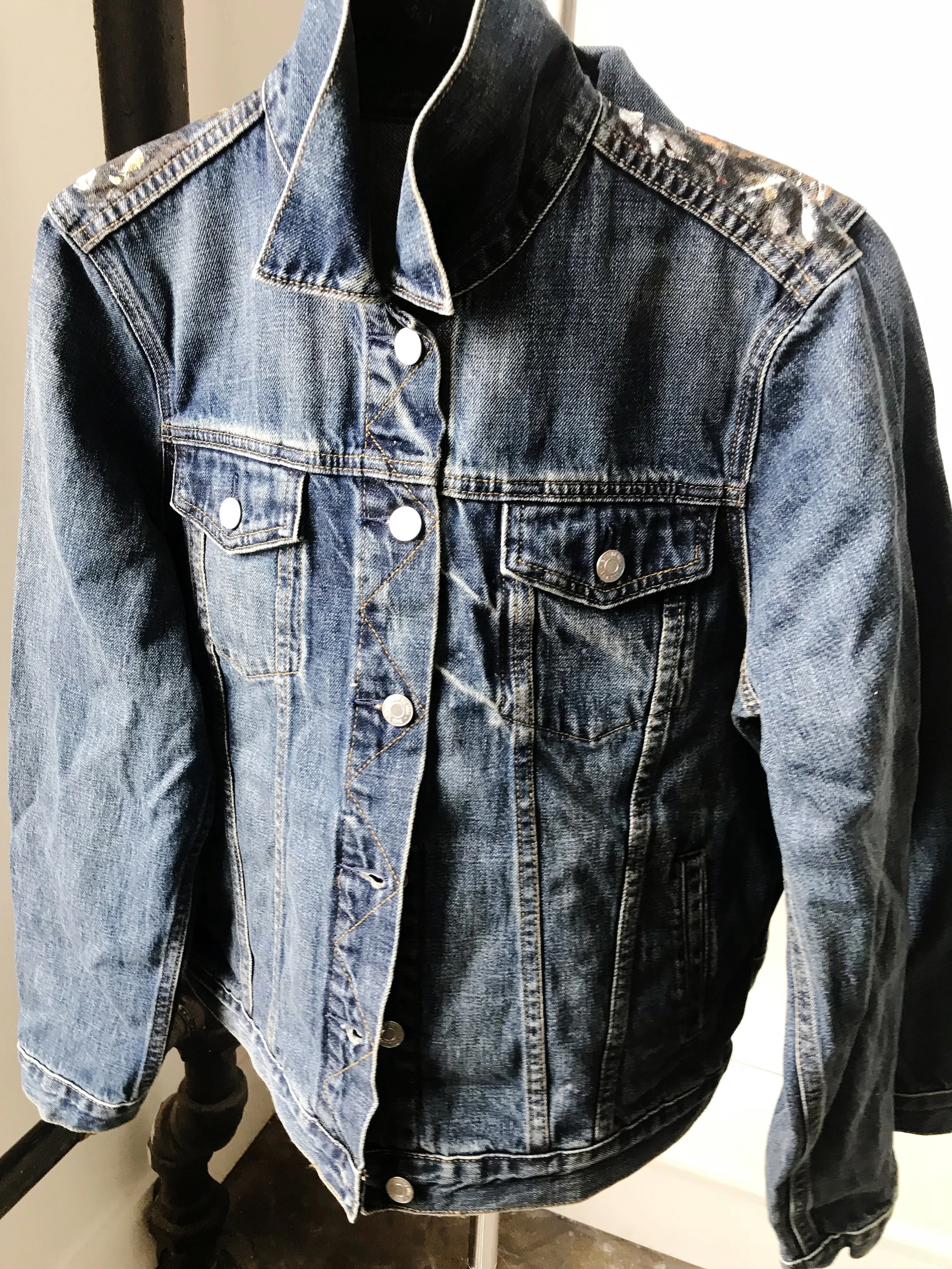 LionJacket1.jpg