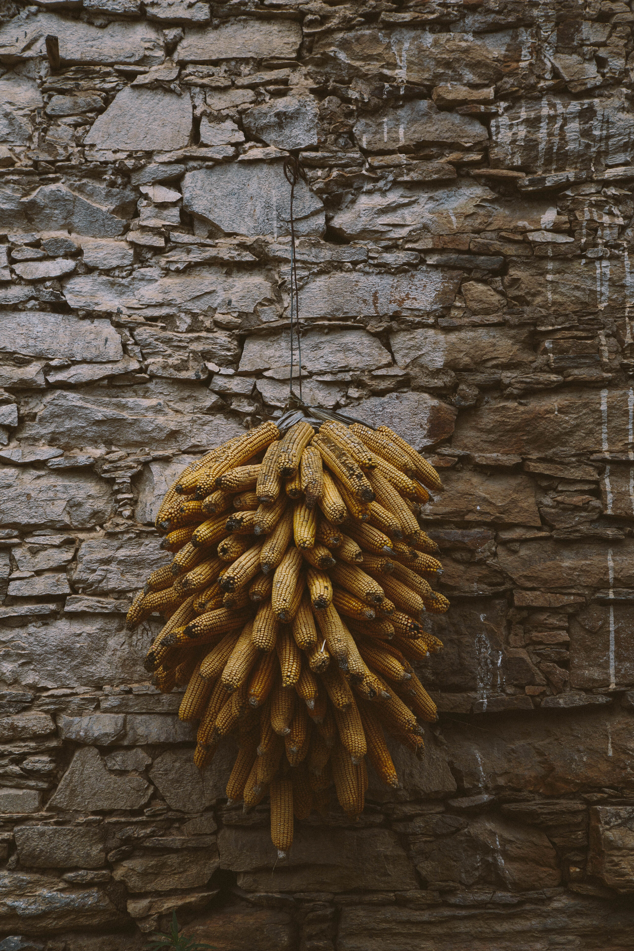 Zhonglu Village - Part II