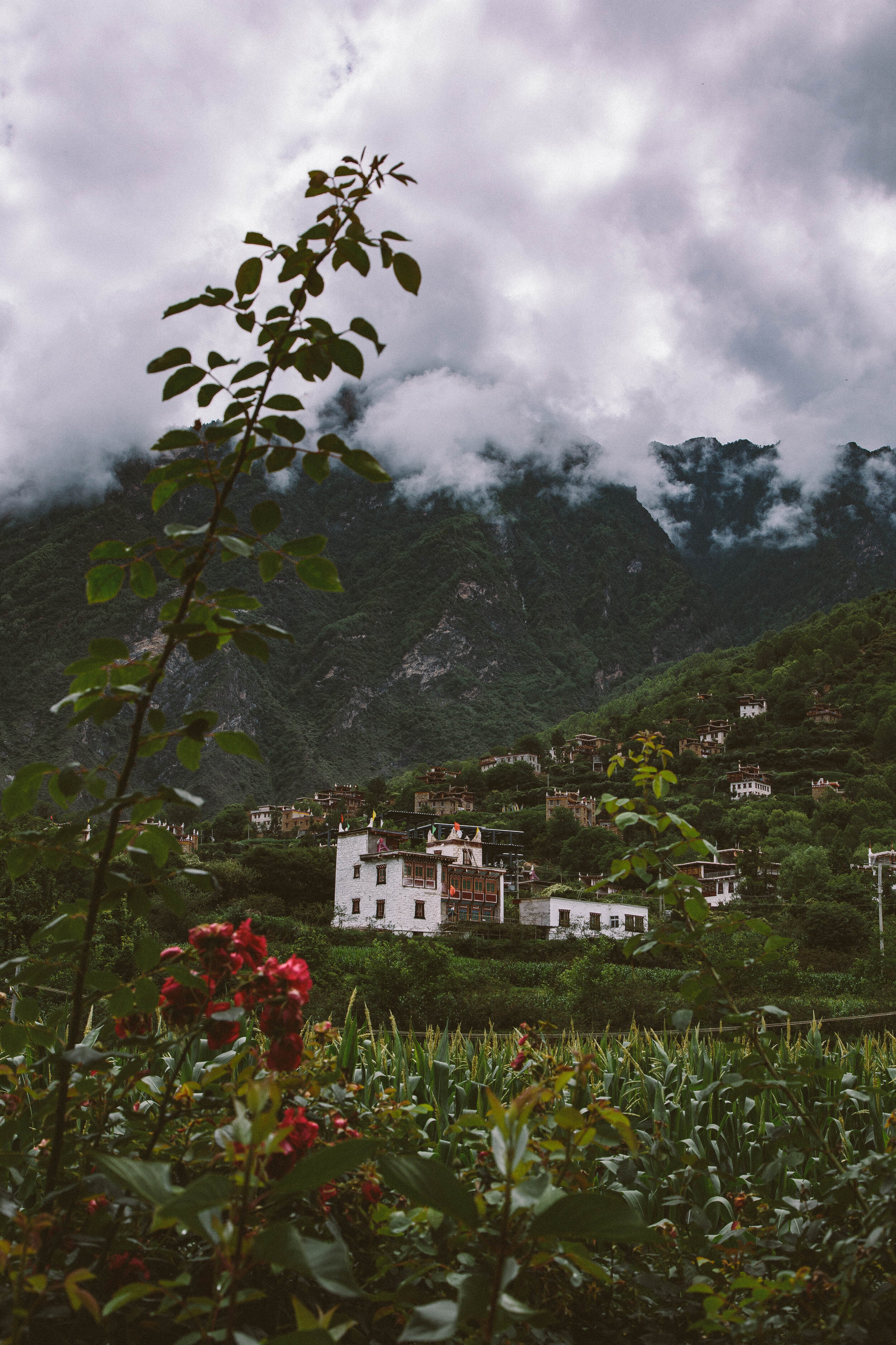 Zhonglu Village - Part III