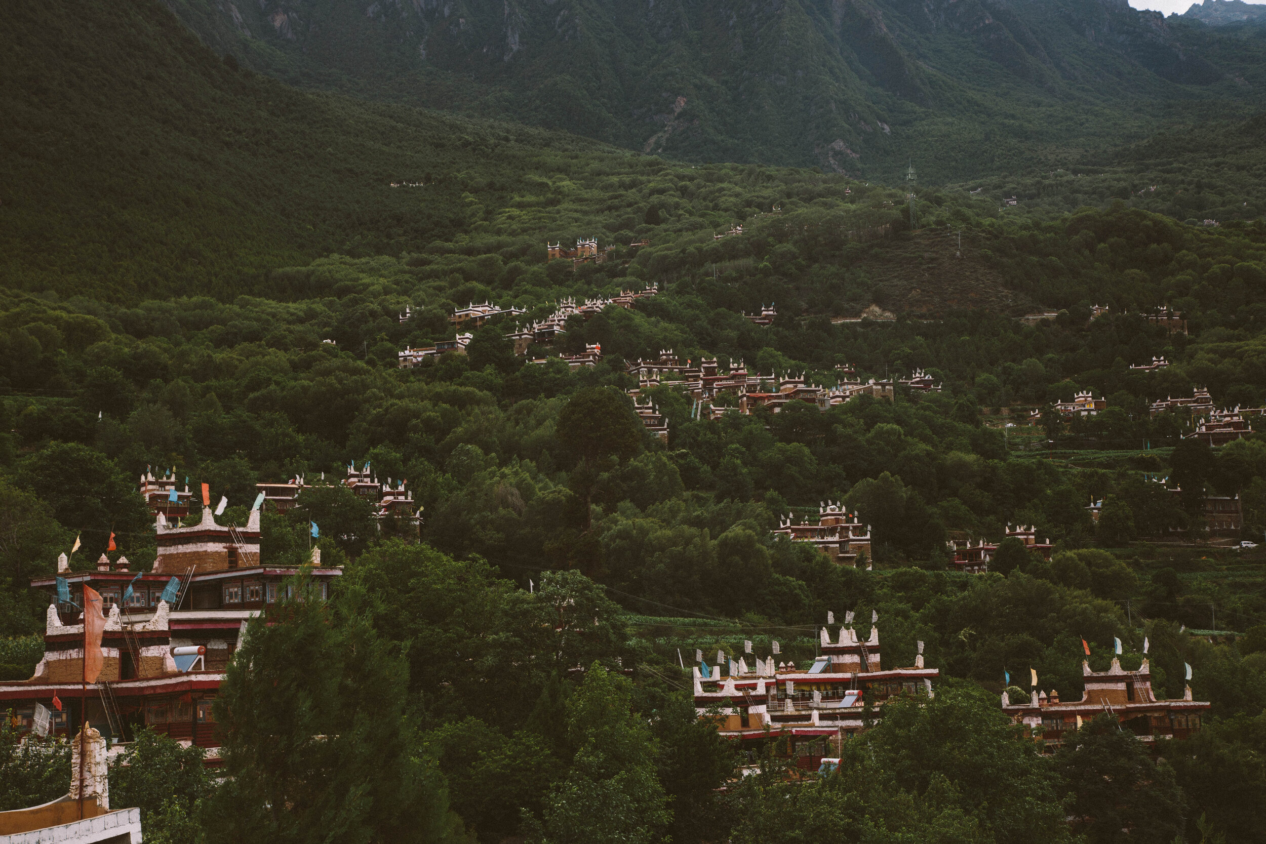 View of the tradition Tibetan homes in Jiaju Village.