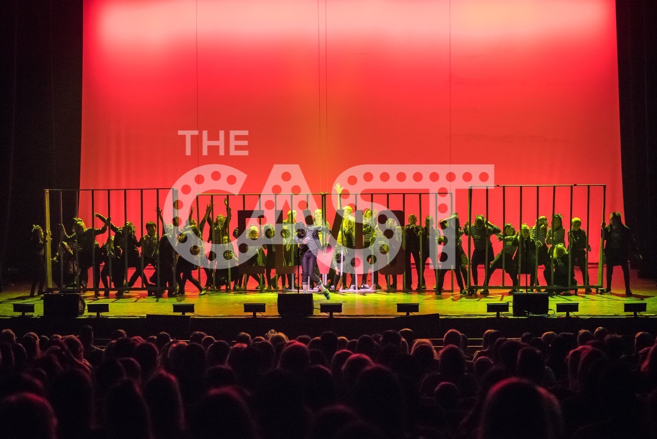 TheCASTProd-2131.jpg