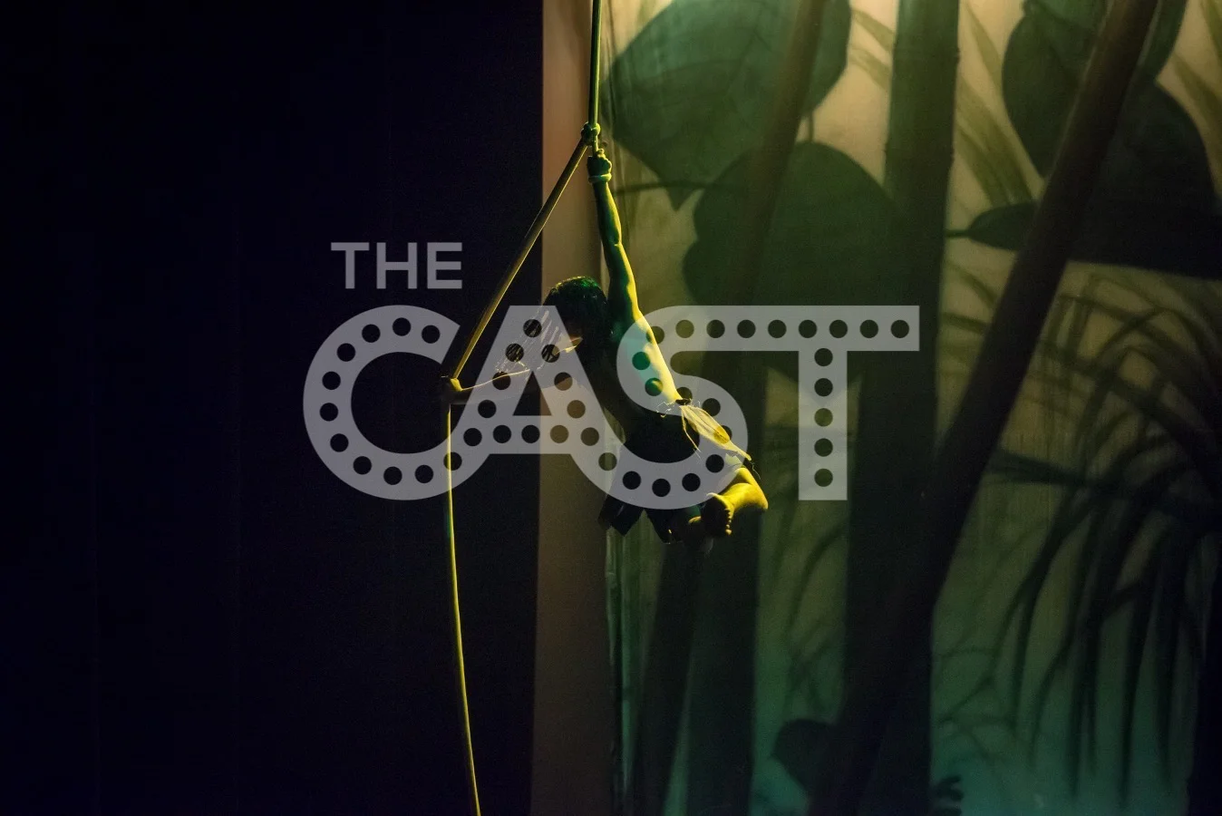 TheCASTProd-2458.jpg