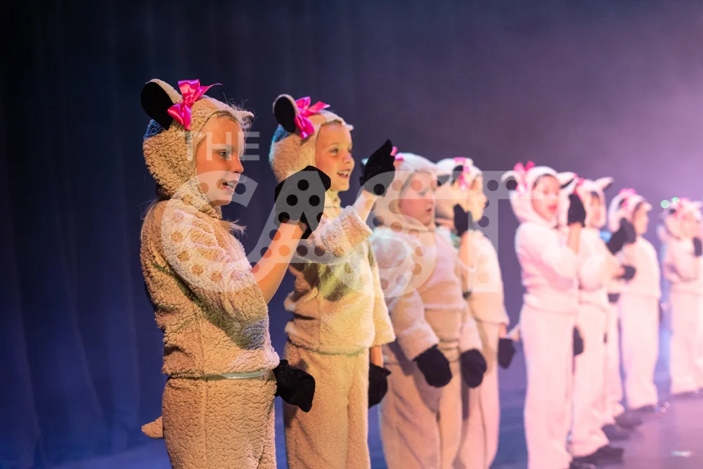 CastProductions_2019-02717.jpg