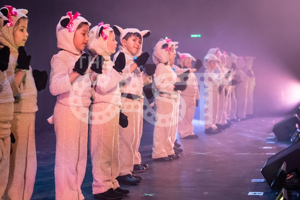 CastProductions_2019-02721.jpg