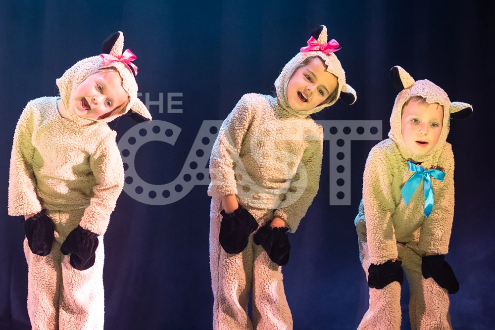 CastProductions_2019-02722.jpg
