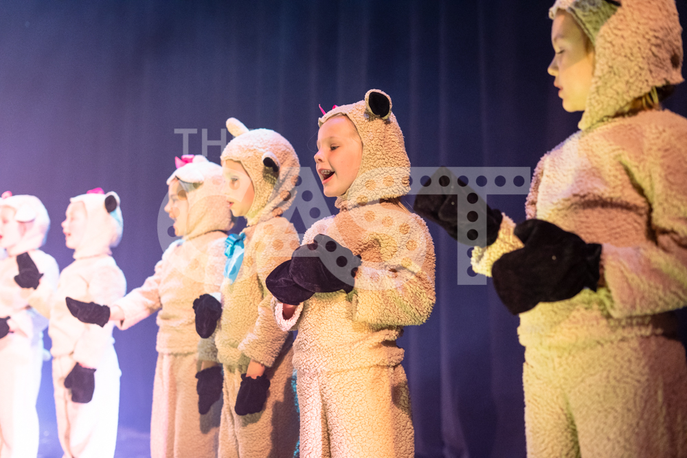 CastProductions_2019-02724.jpg