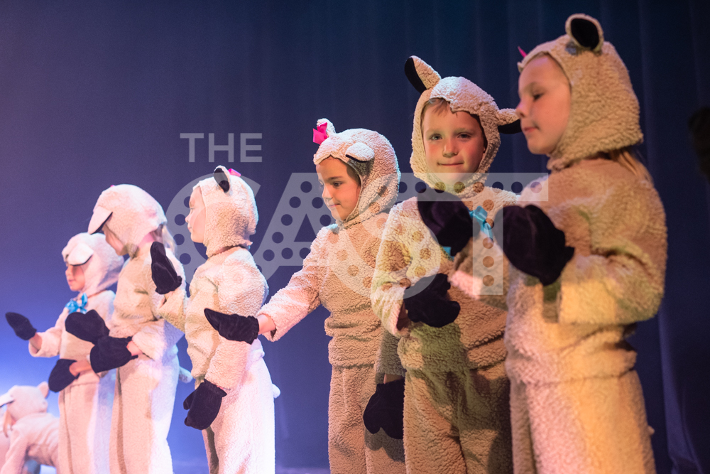 CastProductions_2019-02725.jpg