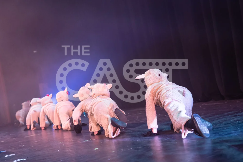 CastProductions_2019-02728.jpg