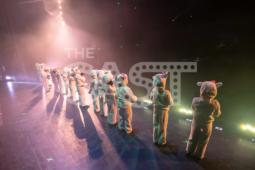 CastProductions_2019-2967.jpg